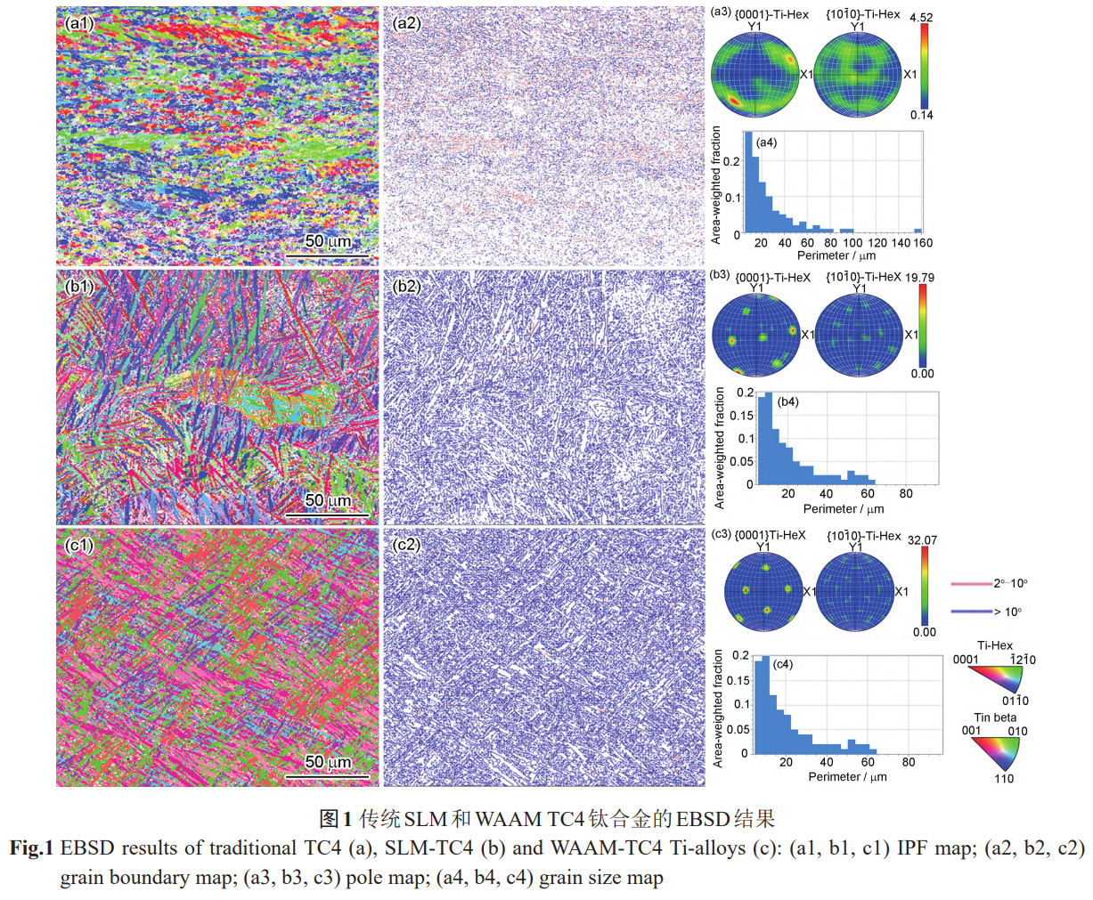 增材制造TC4鈦合金的鈍化性能優(yōu)勢及微觀調(diào)控機制——對比SLM,WAAM與鍛造退火工藝，解析擇優(yōu)取向/晶粒尺寸對鈍化膜缺陷濃度,致密性的影響，為航空航天/生物醫(yī)療用鈦合金耐蝕設(shè)計提供依據(jù)