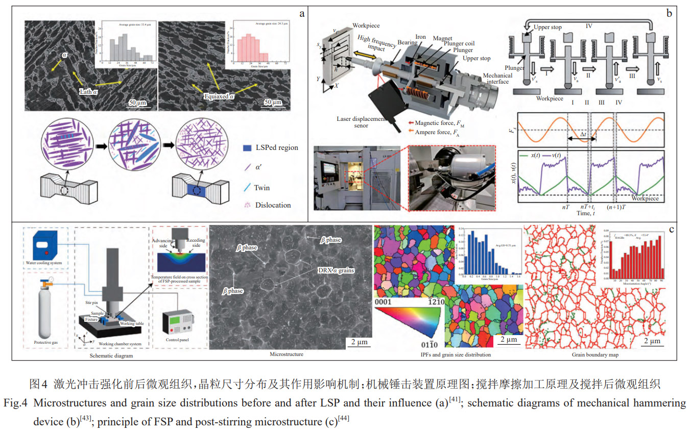 增材制造TC4合金微觀組織等軸化精準調控研究進展——從微合金元素摻雜外場物理干預到熱處理工藝優化，系統解析晶粒細化與等軸化內在規律