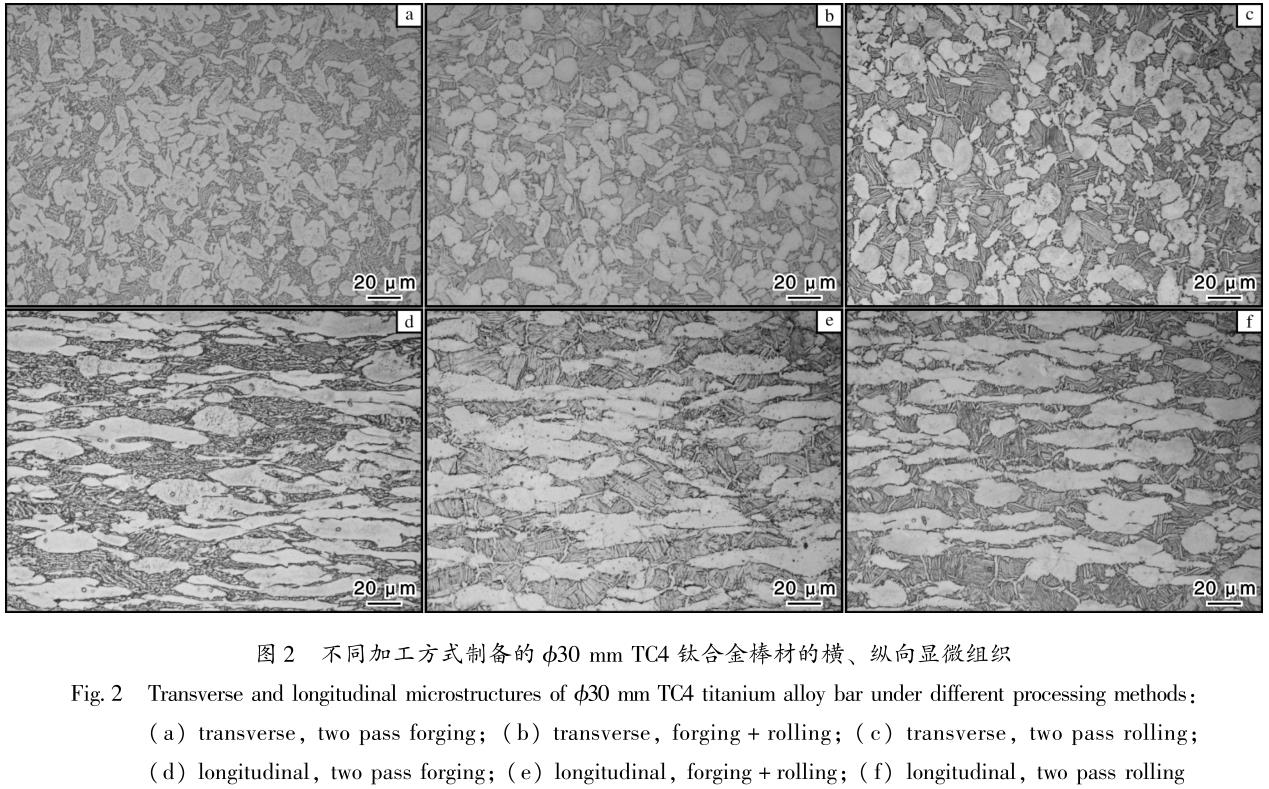 1686564236416318.jpg t2.jpg