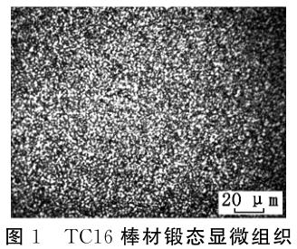 1688993987949224.jpg 360截圖162511159113388.jpg