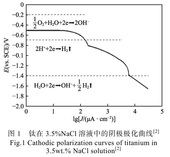 1692884998628714.jpg t1.jpg