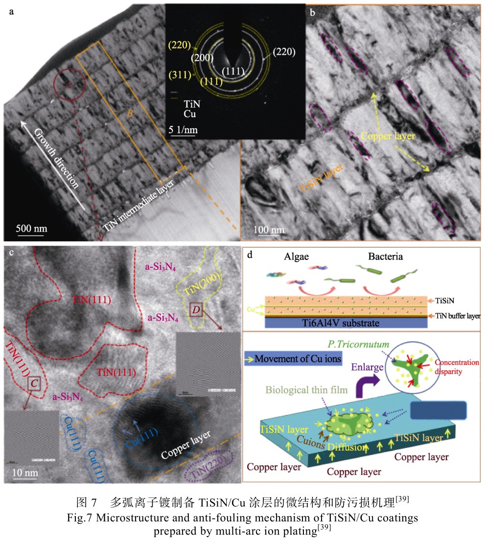 1692885162793404.jpg t7.jpg