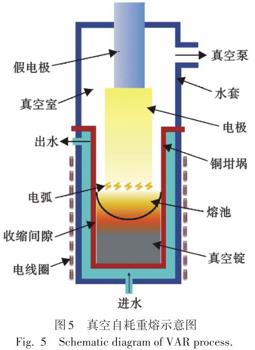 1699522518656941.jpg t5.jpg