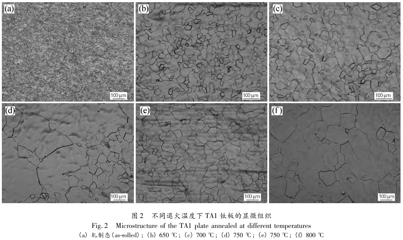 1721378543394325.jpg t2.jpg