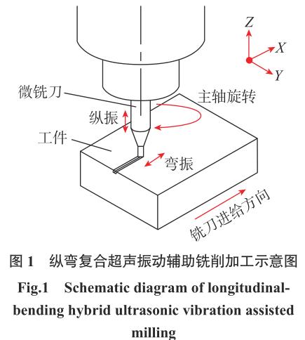 1721399536155237.jpg t1.jpg