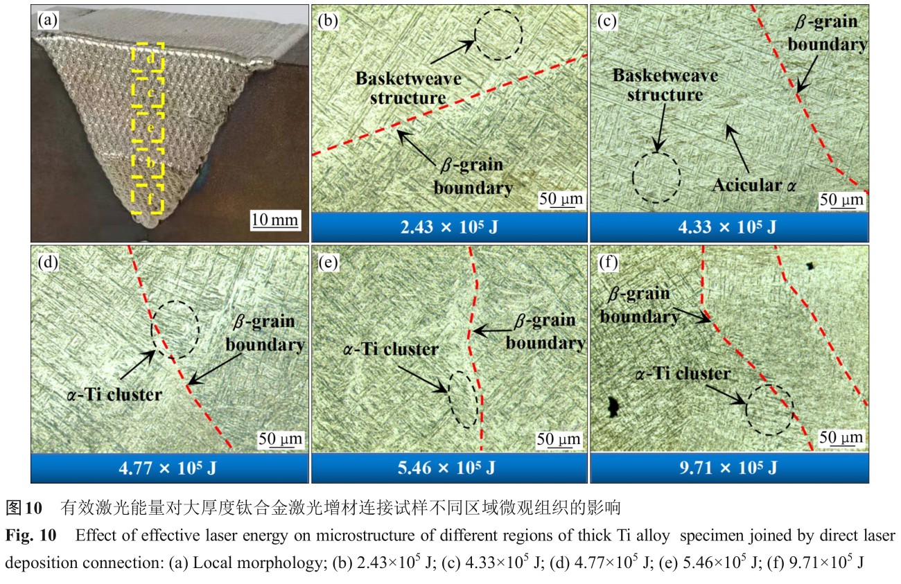 1725355014780605.jpg t10.jpg