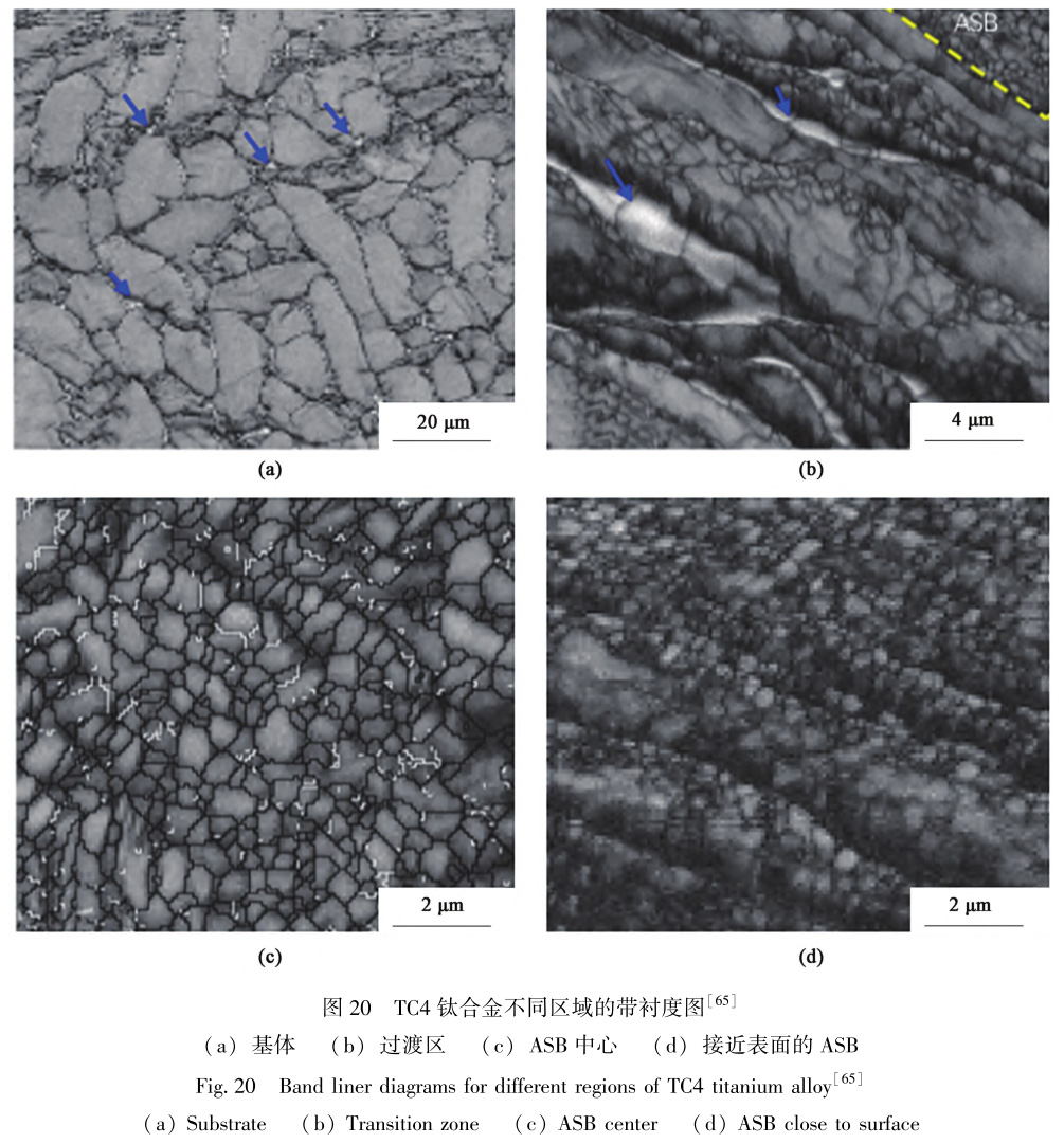 1729324495888133.jpg t20.jpg