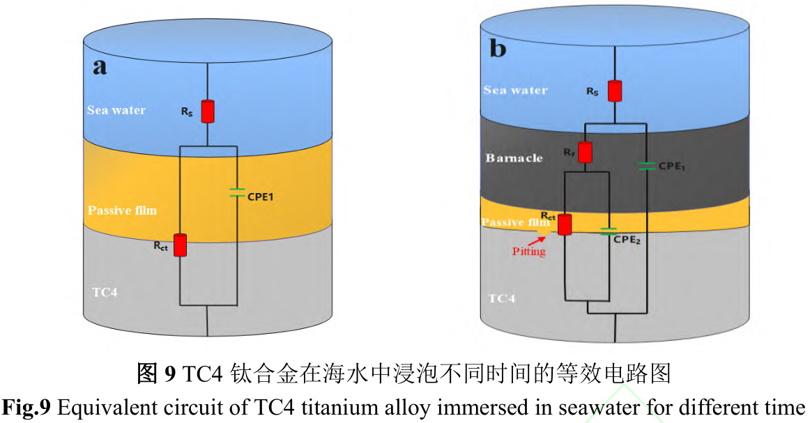 1734944937432307.jpg 9.jpg